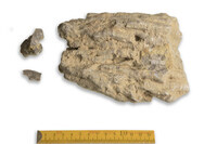 F 00055
<br/>
<br/>
<em></em>